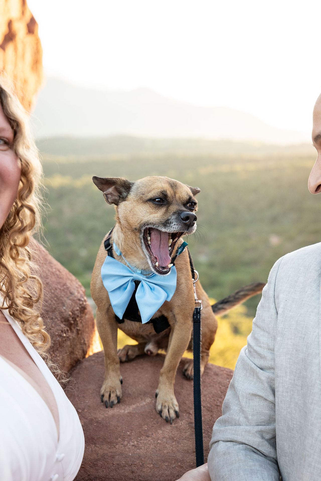 Siamese Twins elopement