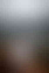 Garden of the Gods elopement photographer