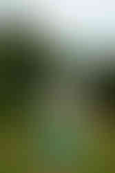 Garden of the Gods Friendship Photography