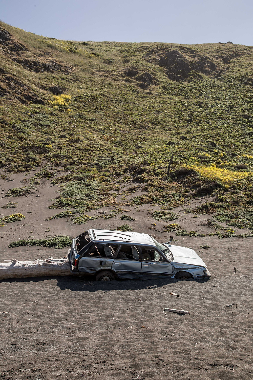 The Lost Coast Trail Bobak Radbin