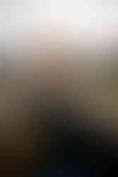 Garden of the Gods family photographer