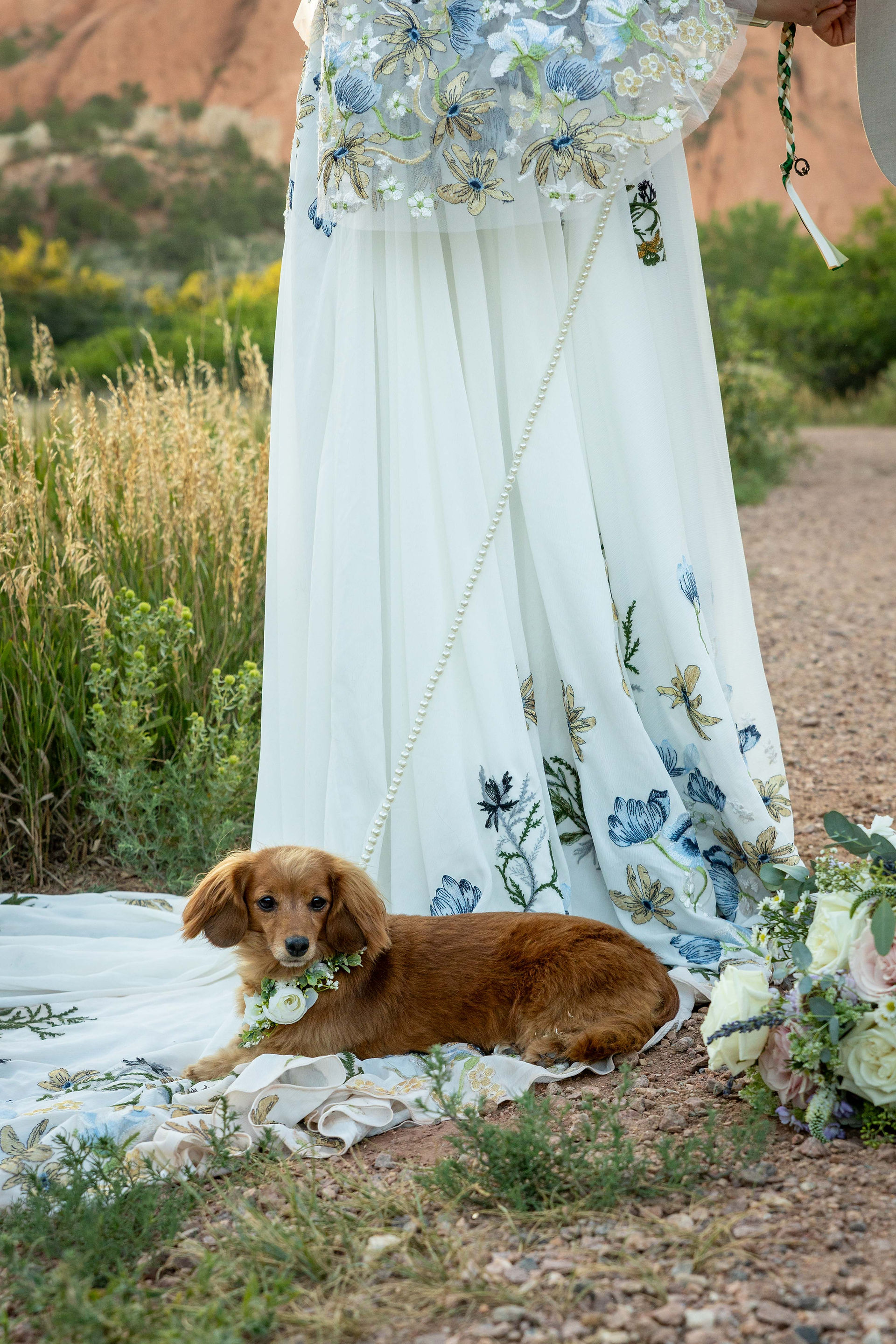 Colorado Springs Wedding Photographer