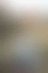 garden of the gods proposal mistakes