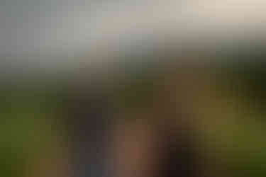 garden of the gods couple session