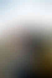 Garden of the Gods family photographer