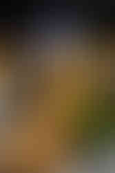 Colorado Springs event photographer