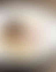 Colorado food photographer