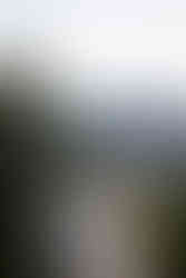 dog friendly elopement at garden of the gods