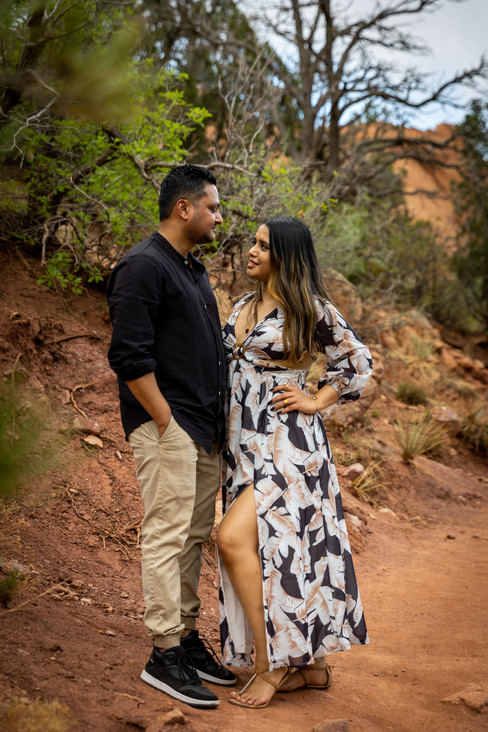 Garden of the Gods Couple Session