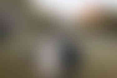 Couple sharing a kiss during sunset at Garden of the Gods engagement session