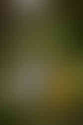 Garden of the Gods family photography