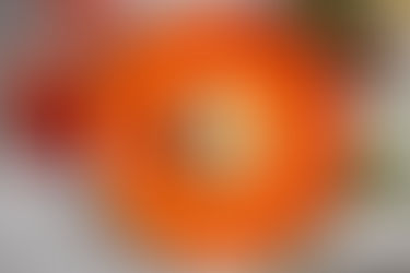 Colorado food photographer
