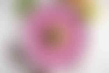 Colorado food photographer