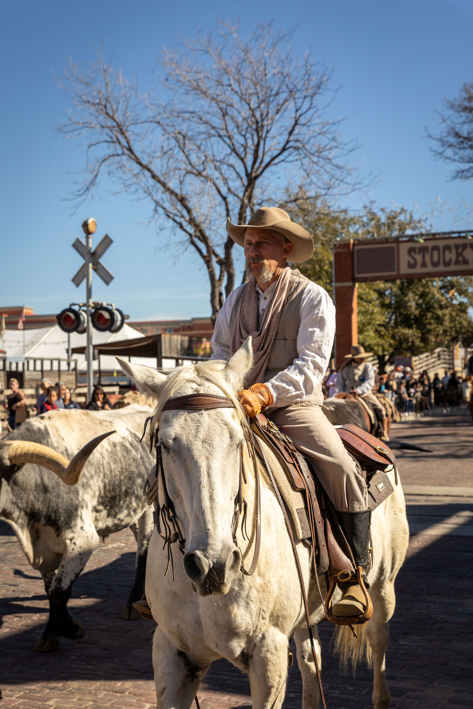 Travel journey to Fort Worth