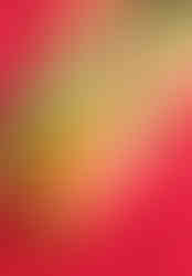 Colorado food photographer