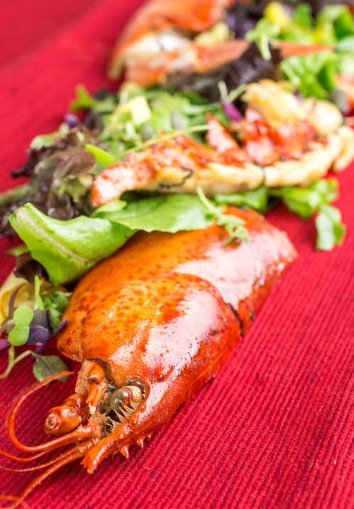 Colorado food photographer