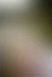 Breckenridge family photographer