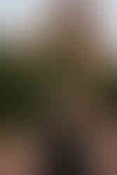 Garden of the Gods elopement photographer