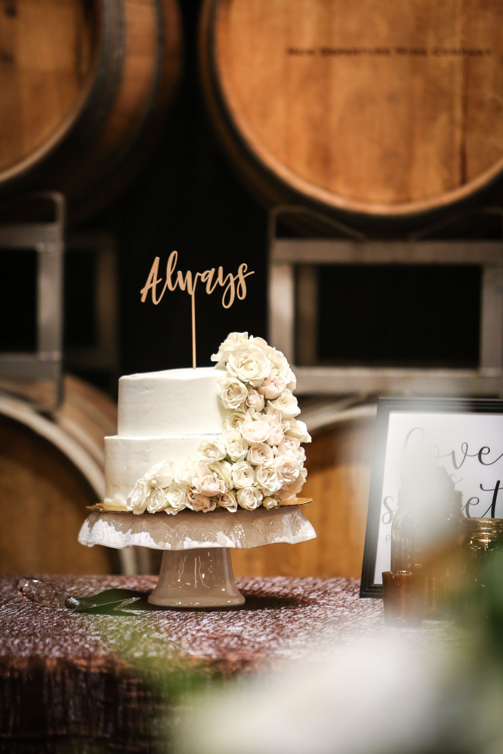 colorado wedding photographer