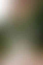 Garden of the Gods Friendship Photography