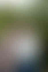 Romantic photo of couple standing on rocky overlook at Garden of the Gods