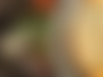 Colorado food photographer