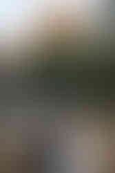 Colorado Elopement Photographer