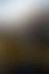 Garden of the Gods family photographer