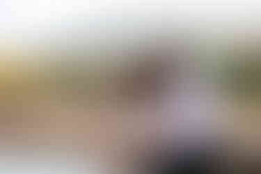 crystal creek reservoir pikes peak elopement