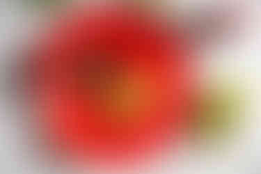 Colorado food photographer