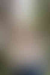 brainard lake surprise proposal