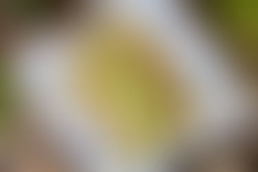 Colorado Food Photographer