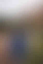 Garden of the Gods family photographer