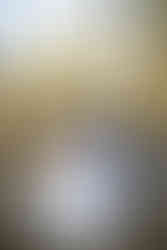 black forest by wedgewood weddings photographer