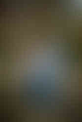 Colorado Engagement Photographer