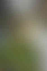 branding photography for dental offices in Wisconsin