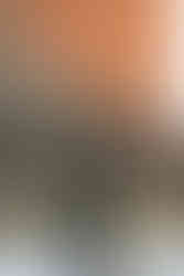 Colorado branding photographer