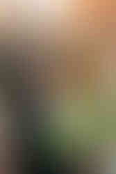 Colorado Elopement Photographer