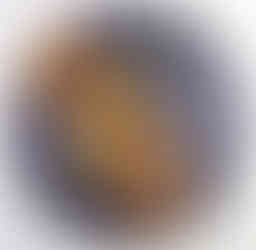 Colorado food photographer