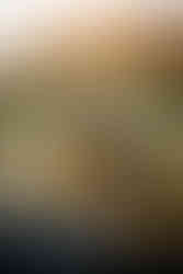 Garden of the Gods family photographer