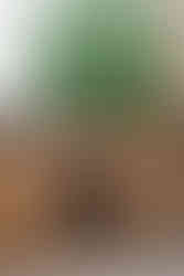 Spain wedding photographer