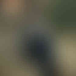 Colorado branding photographer