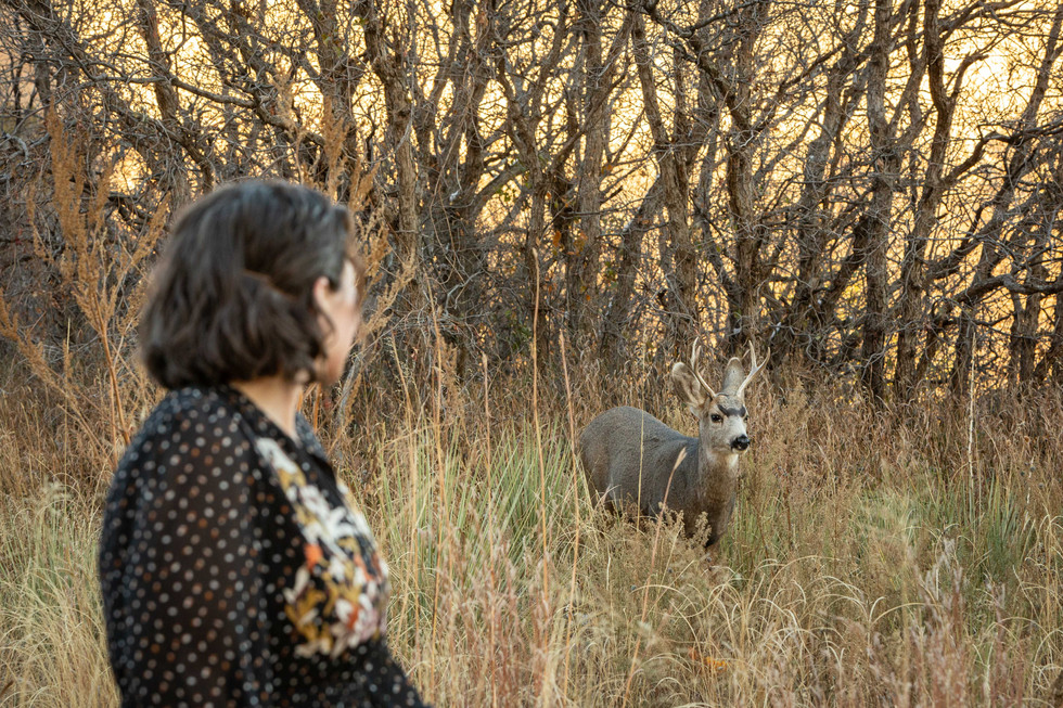 Colorado branding photographer