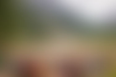 Maroon Bells Amphitheater Wedding
