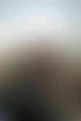 Garden of the Gods engagement photography in Colorado Springs