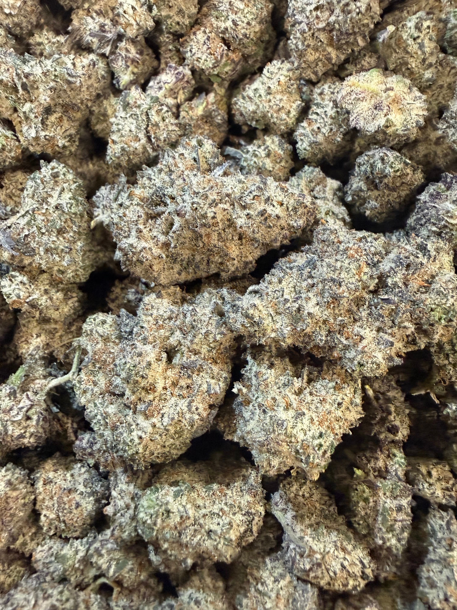 White Alien Cookies