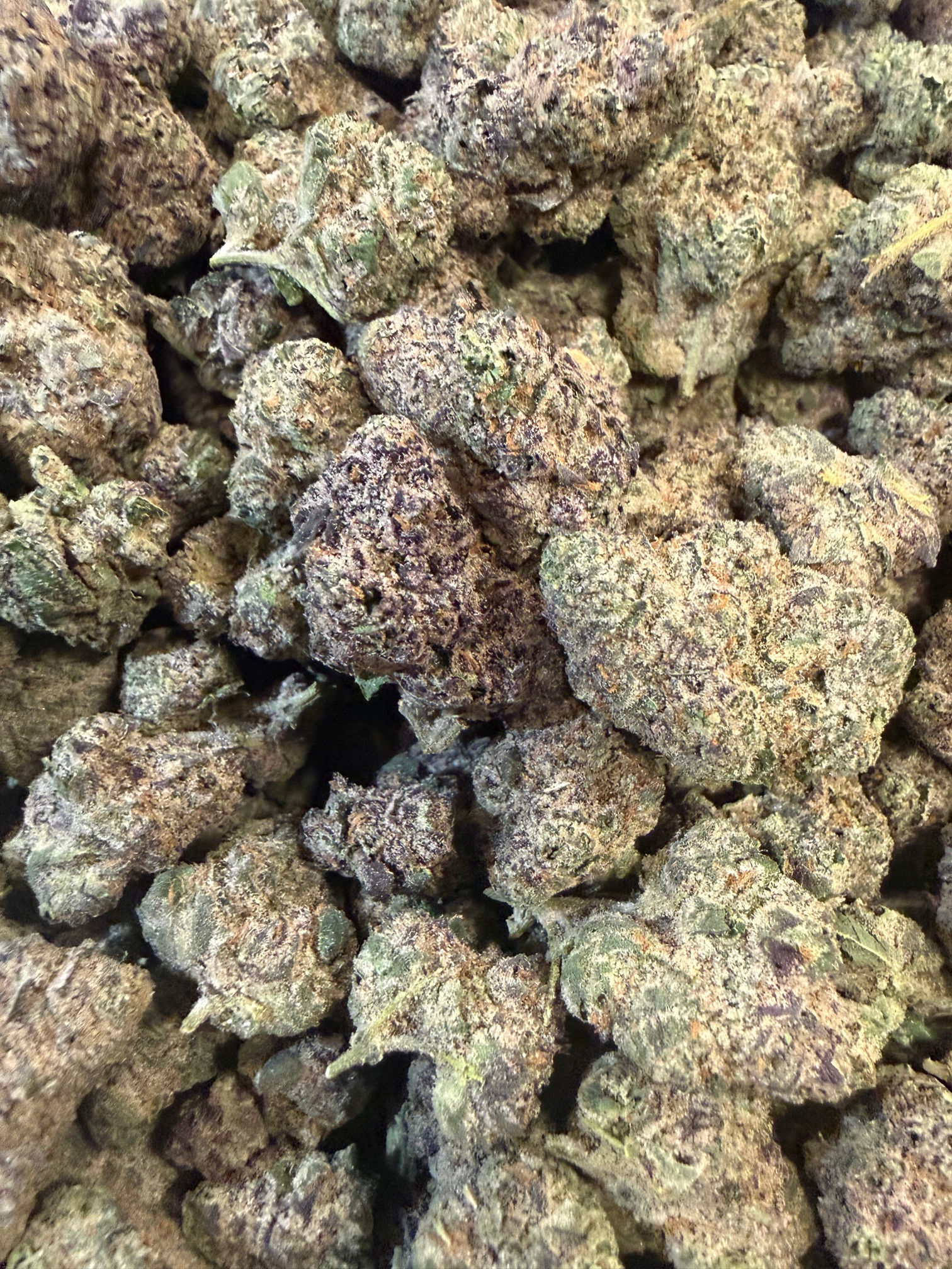 Icewood Runtz (VIP-Stock)