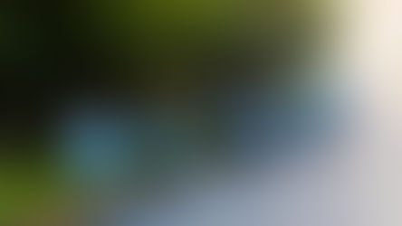 KIZUNA – HOA MAI: ĐỒNG HÀNH CÙNG KHÁCH HÀNG TẠI GIẢI CHẠY “RACE FOR CLEAN WATER”
