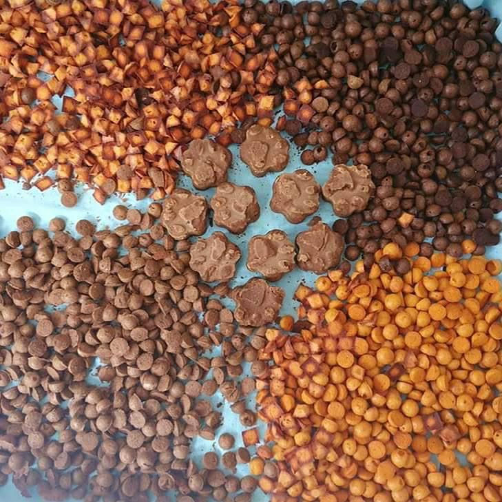 Atelier Apprendre à faire ses friandises