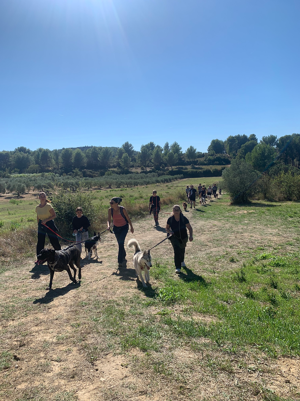 Balade de socialisation